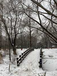 Seoul Forest in winter