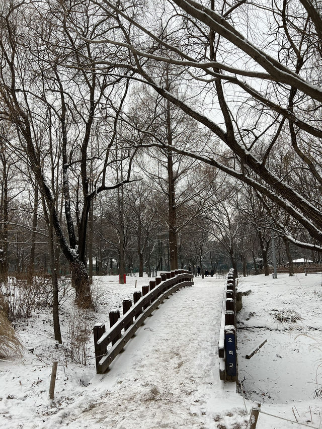 Seoul Forest in winter