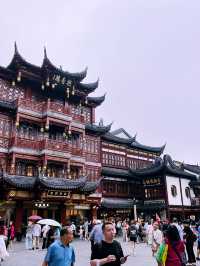 Dian Chuntang: A Peaceful Teahouse in the Heart of Shanghai
