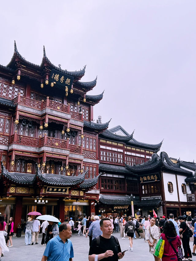 Dian Chuntang: A Peaceful Teahouse in the Heart of Shanghai