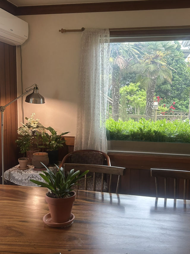 🌅 바다 옆 빈티지 감성, 멜로우데이즈