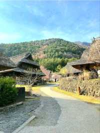Healing Village by Mt. Fuji: Saiko Iyashi‑no‑Sato Nenba