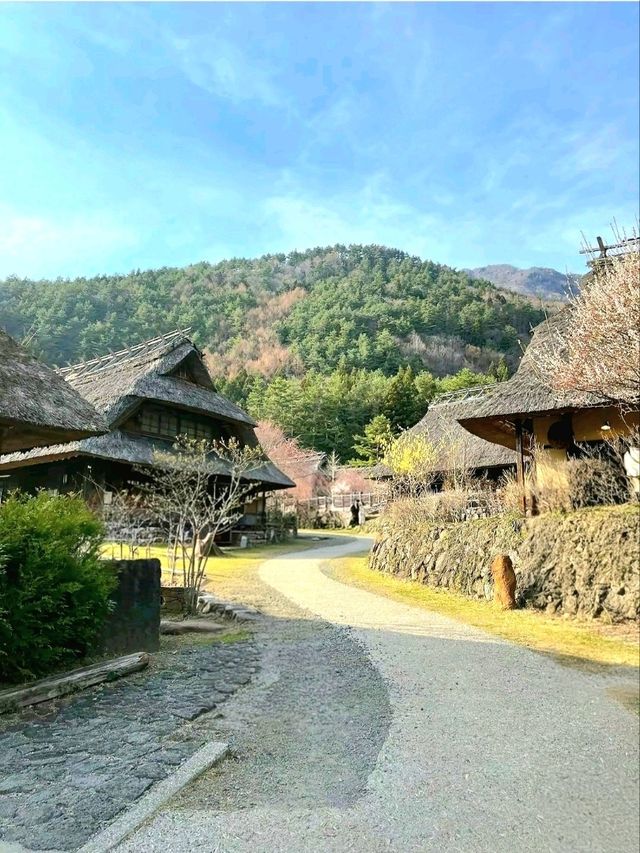 Healing Village by Mt. Fuji: Saiko Iyashi‑no‑Sato Nenba