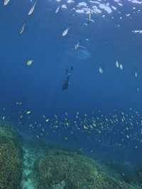 Escaping to Paradise: Summer in Gili Trawangan