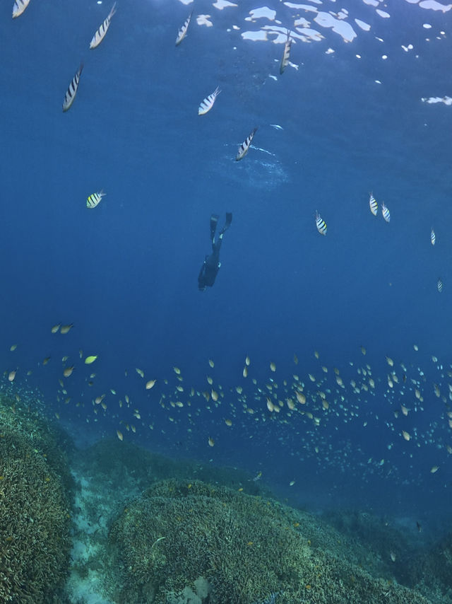 Escaping to Paradise: Summer in Gili Trawangan