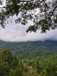 The Giant Chiangmai จ.เชียงใหม่