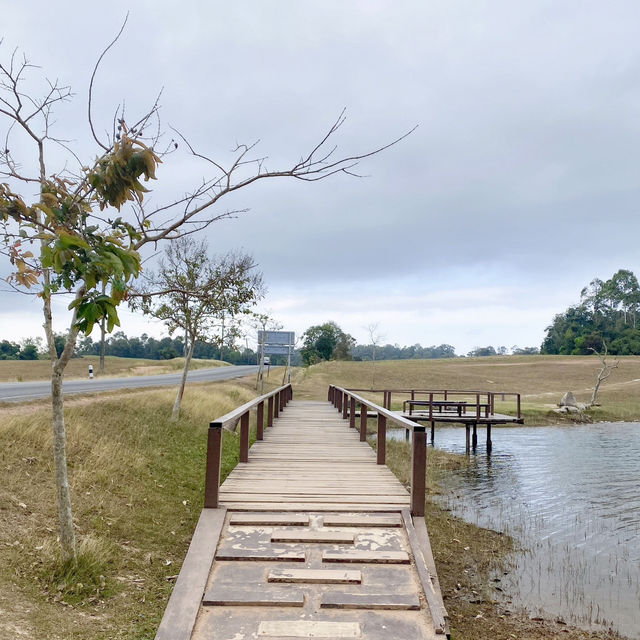 อุทยานแห่งชาติเขาใหญ่ 🌳