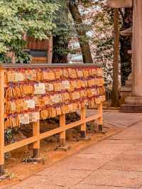 Akasaka Hikawa Shrine Tokyo