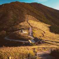 Ganwoljae Flame grass Road