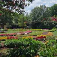 Dallas Arboretum & Botanical Garden