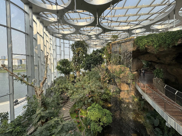 Shanghai Botanical Garden: A Green Oasis for Stunning Photos! 📸🌿