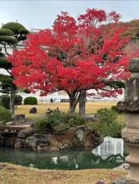 【明治の香り漂う洋館✨仁風閣で優雅なひととき】