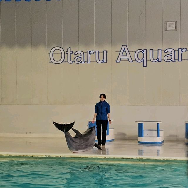 Charming Otaru Escape: 2-day Cultural & Culinary Journey from Sapporo