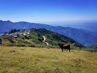 Floating Through Dreamy Gomismta