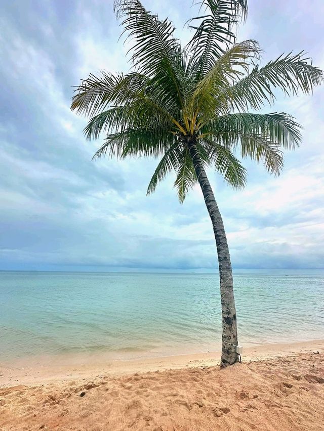 Melur Beach Resort, Batam: A Hidden Gem for Beach Lovers