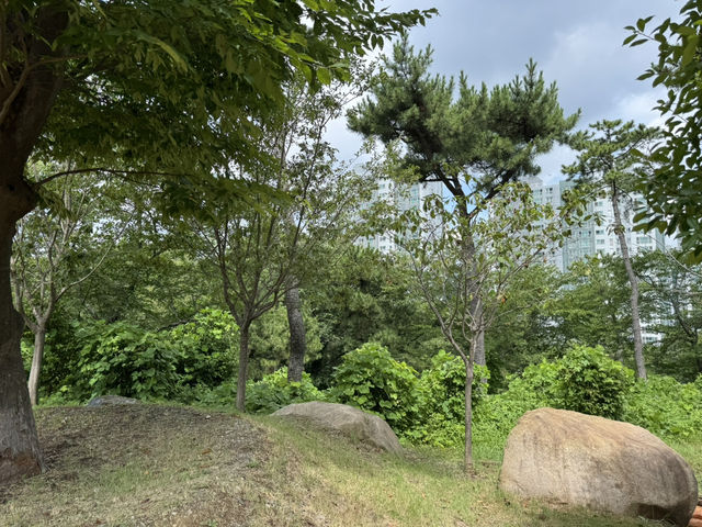 도심 속 건강 공원