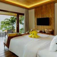 Bayside Bliss and Treetop Silence