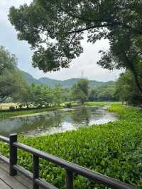 Yuhuang Mountain ⛰️ 