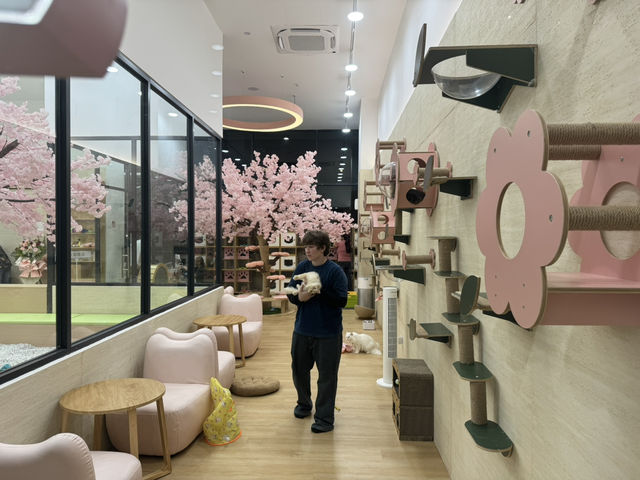 🐾 Kids X Cats Cafe — Fluffy Friends & Playful Vibes