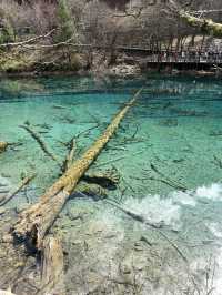 Aqua Terror: Jiuzhaigou’s Liquid Jade Insurgency