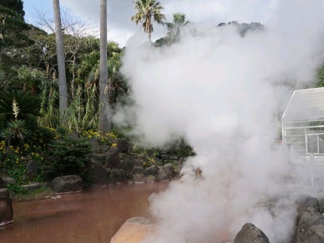 ♨️ เที่ยวBeppu Jigoku ที่ฟุกุโอกะ!