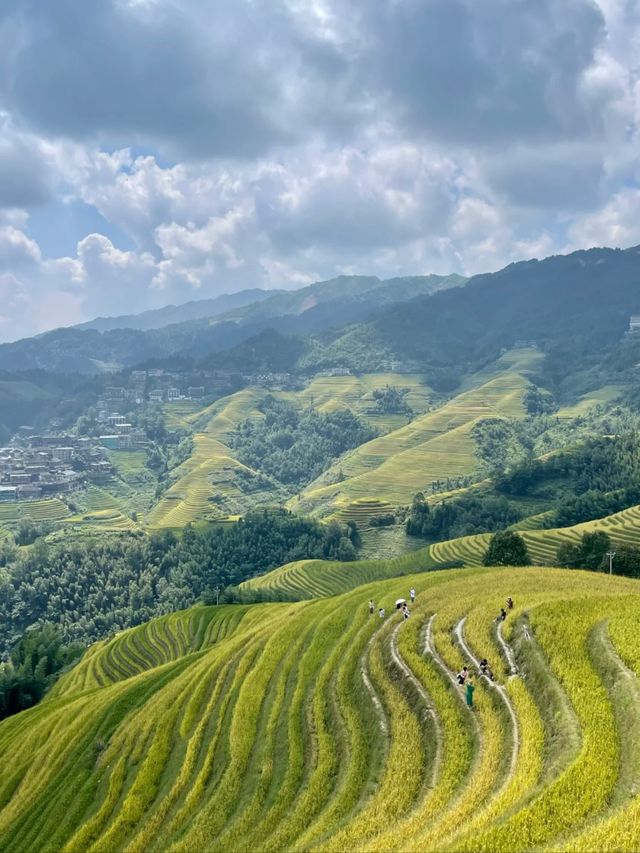 China’s Mountain Masterpiece: The Longji Rice Terraces