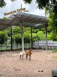 Mountain Coffee @ Zoo ระยอง