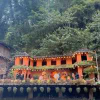 Sapa