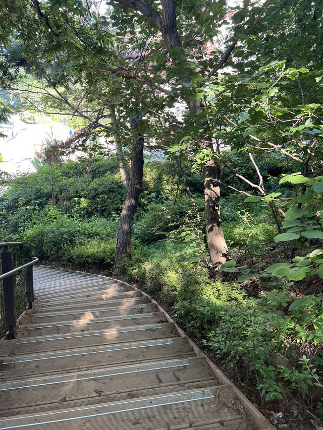 서울 둘레길의 봄과 여름 풍경