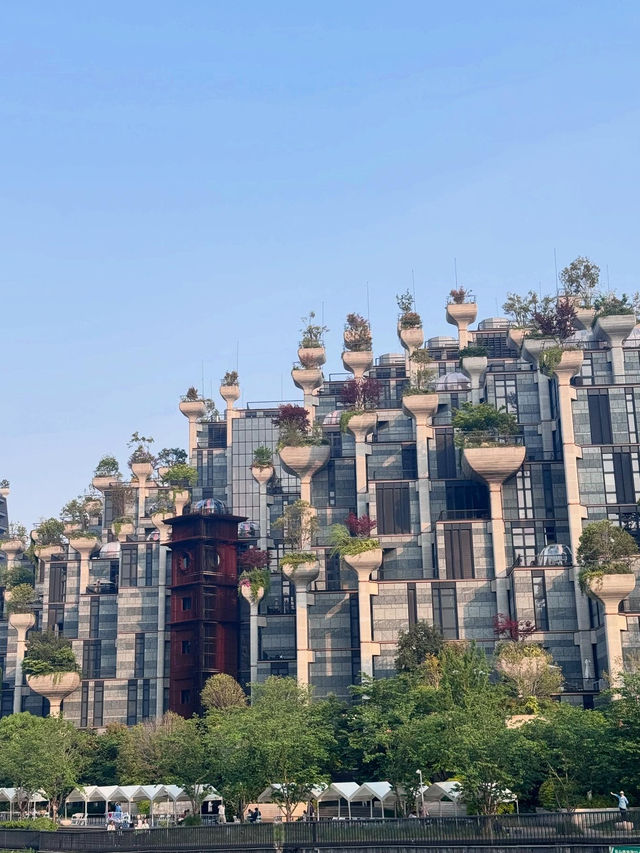 1000 Trees 