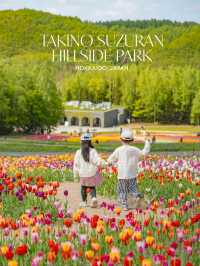 Takino Suzuran Hillside Park ชมทุ่งทิวลิปสุดอลัง🌷