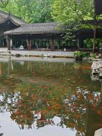 VIEWING FISH AT FLOWER HARBOR · HANGZHOU’S DANCING AQUATIC PALETTE
