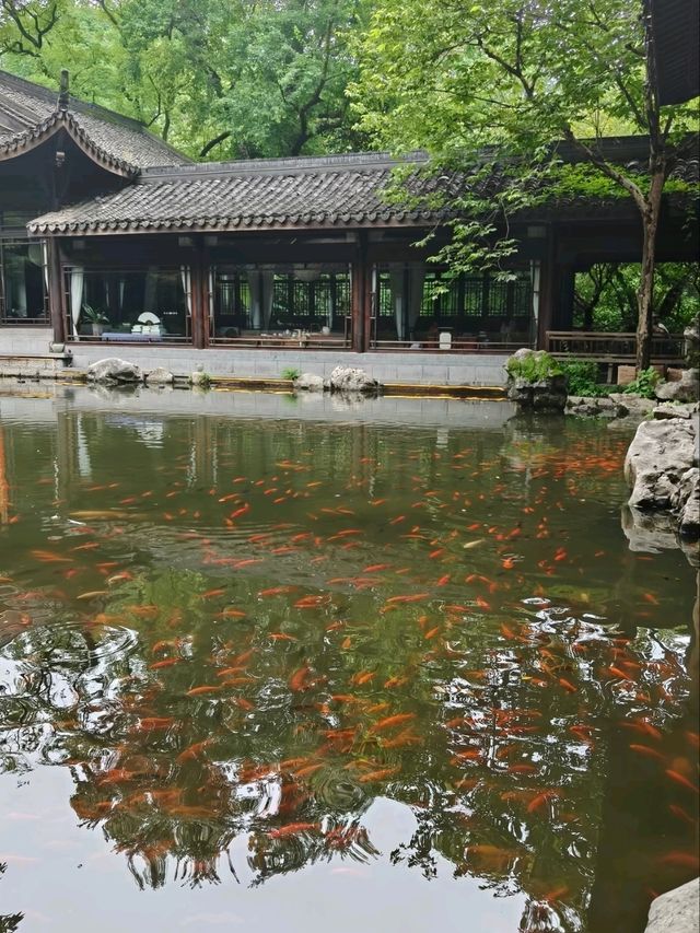 VIEWING FISH AT FLOWER HARBOR · HANGZHOU’S DANCING AQUATIC PALETTE