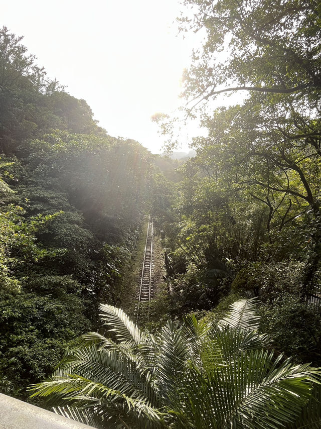 💦 Shifen Waterfall Is Taiwan’s Most Dreamy Cascading Surprise