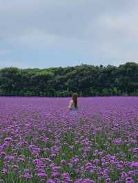 「森を走る列車で、自然のワンダーランドへ🚂🌿 Ecoland