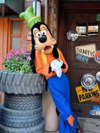 Cinderella Meets Confucius: The Cultural Magic of Shanghai Disneyland