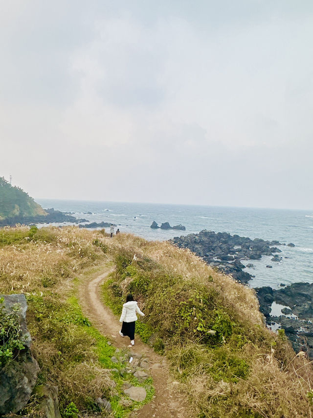 My beloved Jeju Island