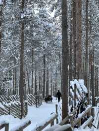 ❄️ 北極圈的仲夏童話｜聖誕老人村・哈士奇雪原探險