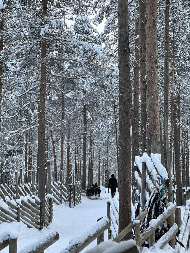 ❄️ 北極圈的仲夏童話｜聖誕老人村・哈士奇雪原探險