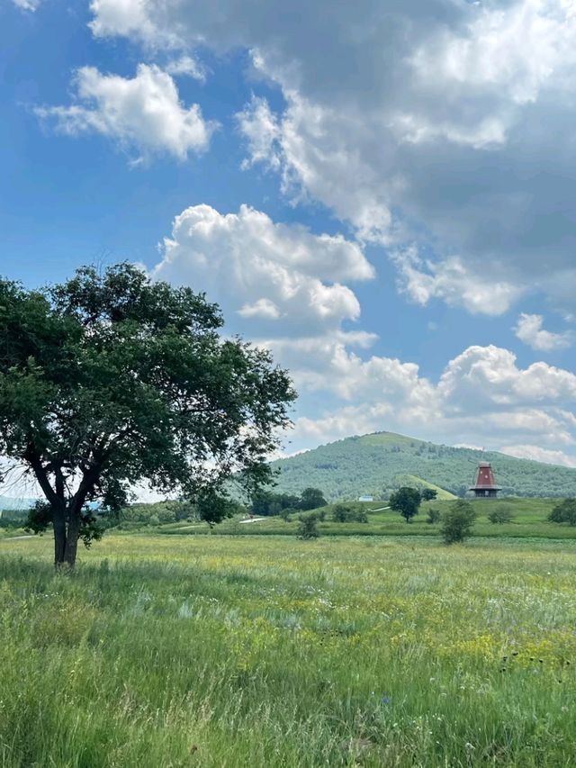 Echoes of the Steppes: Hohhot’s Story Through Time