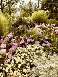 A Photographer's Delight: Urban Landscapes and Natural Beauty