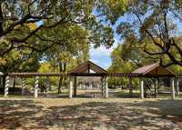 武生中央公園—市區綠肺