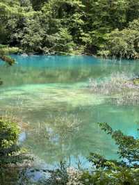 【福島】一生に一度は行きたい!!奇跡の絶景