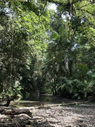 Cairns Day 2: 5-Day, 4-Night Itinerary
