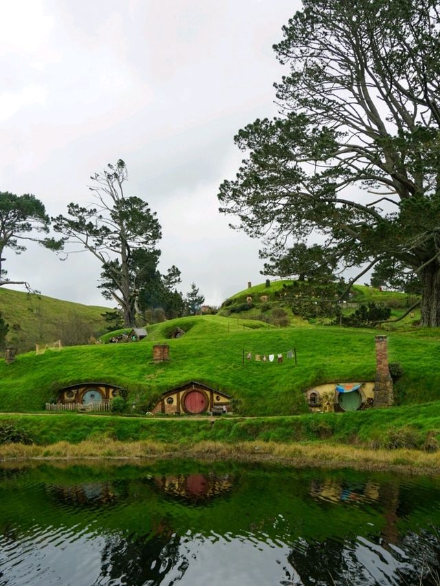 📽ตามรอยหนัง The Lord of the Rings @Hobbiton