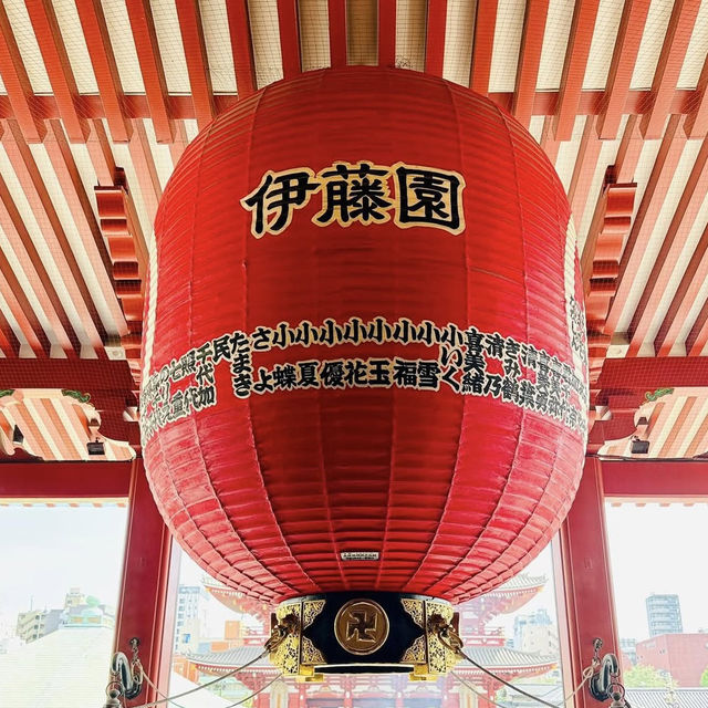 🏯 วัดเซ็นโซจิในฤดูใบไม้ร่วง 