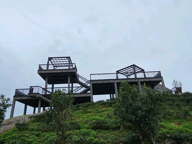 花蓮富里｜六十石山花海景觀涼亭〔黃花亭〕