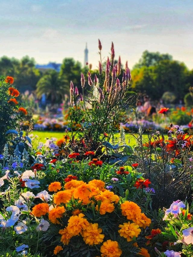 🌿 Palais du Luxembourg – Parisian Elegance & Timeless Charm