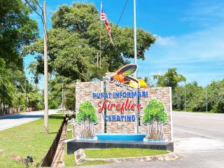 체러팅의 반딧불이 마법 – 자연의 살아있는 등불