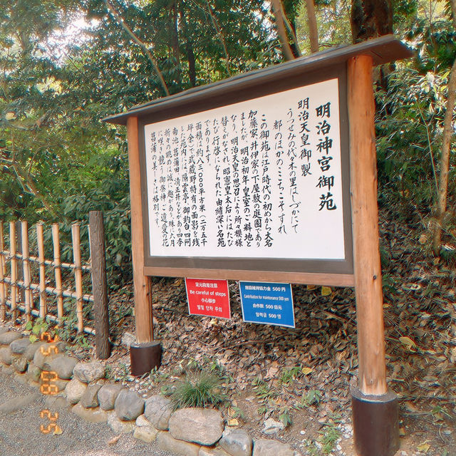 探索東京綠意：明治神宮一日遊 🌿⛩️ 